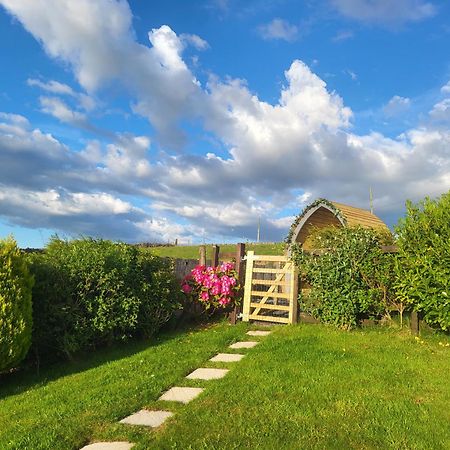 Bwthyn Plas Hafod Cottage Llanllyfni Esterno foto