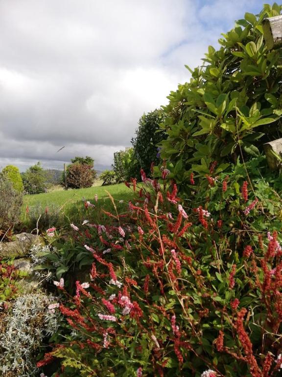 Bwthyn Plas Hafod Cottage Llanllyfni Esterno foto